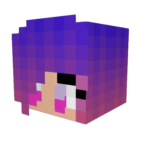 Skysky731 Minecraft avatar head, 3D render