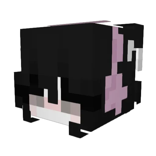 Skysswag Minecraft avatar head, 3D render