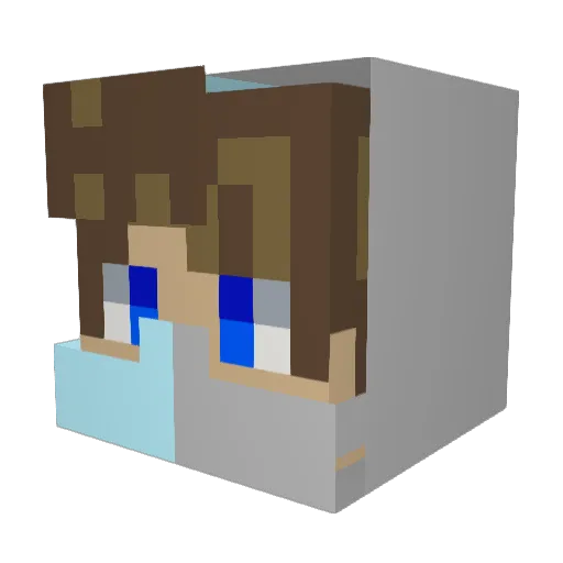 SkytbmSwales Minecraft avatar head, 3D render