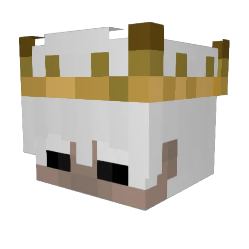 Skythrill_34 Minecraft avatar head, 3D render