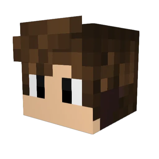 Skytime1 Minecraft avatar head, 3D render