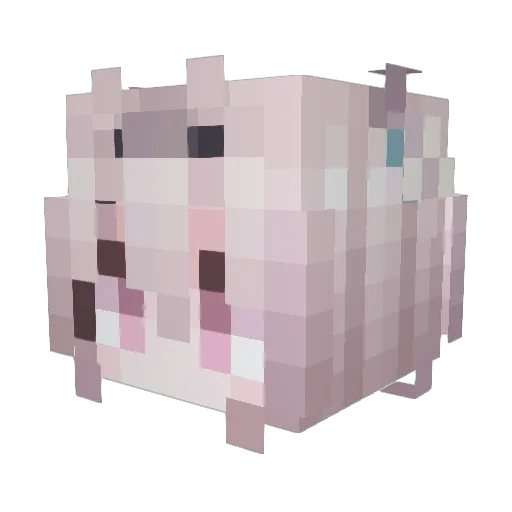 Skyuwan Minecraft avatar head, 3D render