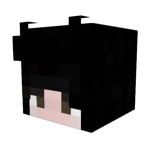 Skyvrt Minecraft avatar head, 3D render