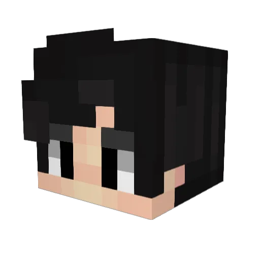 Skywalker1970 Minecraft avatar head, 3D render