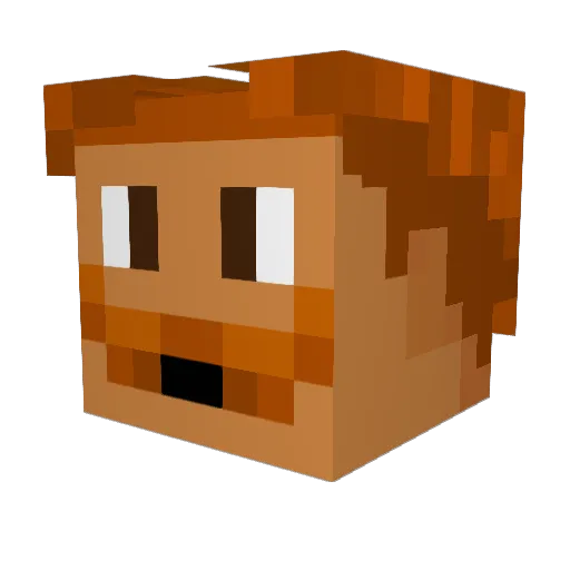 Skywalker5432 Minecraft avatar head, 3D render