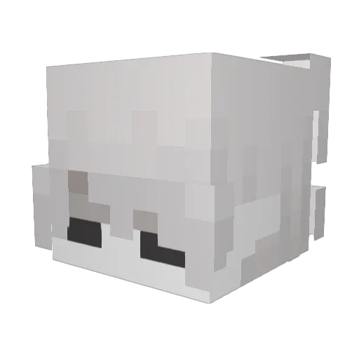 SkywalkerSITH Minecraft avatar head, 3D render