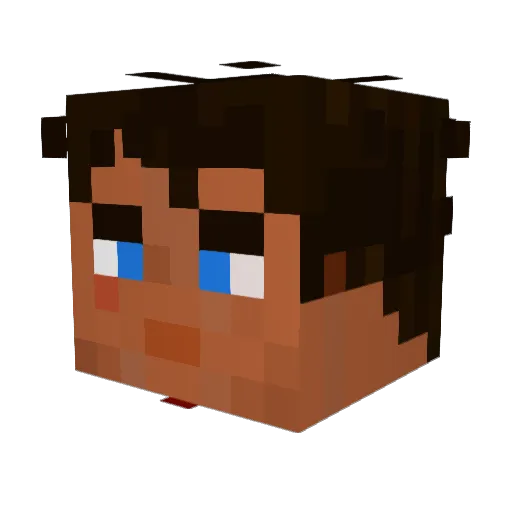 Skywalker_2134 Minecraft avatar head, 3D render