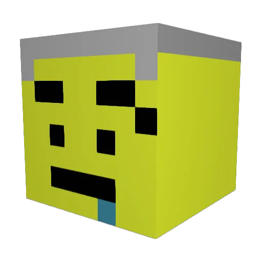 Skywalker_8642 Minecraft avatar head, 3D render