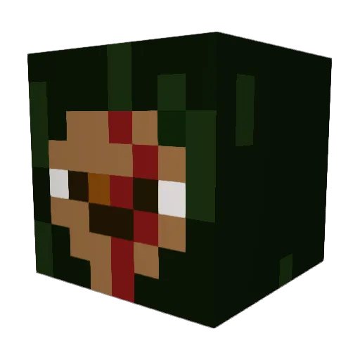 Skywalker_ay Minecraft avatar head, 3D render
