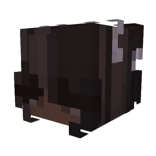 Skywalker_rat Minecraft avatar head, 3D render