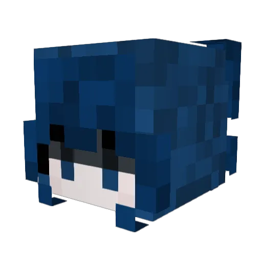 Skywalkerfin Minecraft avatar head, 3D render