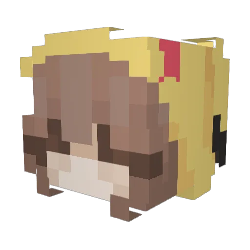 Skywarrior1337 Minecraft avatar head, 3D render