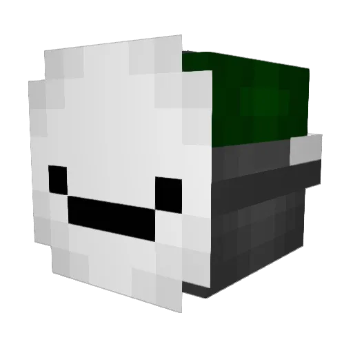 Skywars_Hacker Minecraft avatar head, 3D render