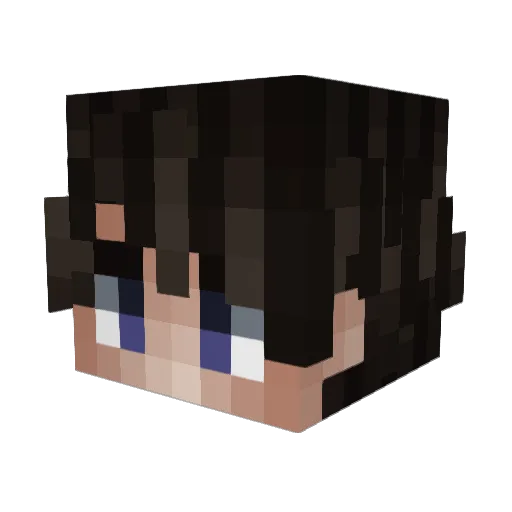 Skywer01 Minecraft avatar head, 3D render