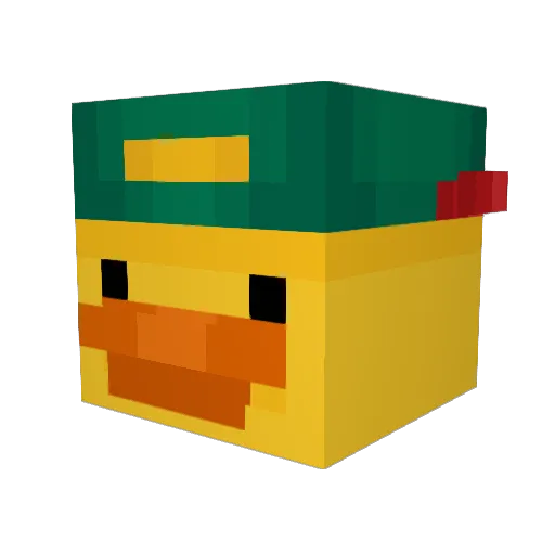Skywin56 Minecraft avatar head, 3D render