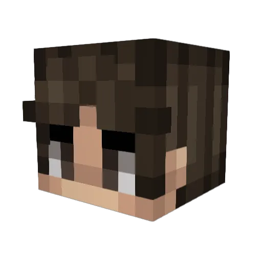 Skywolf_20 Minecraft avatar head, 3D render