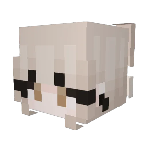 SkyyGamez Minecraft avatar head, 3D render