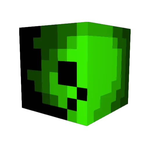 Skyywalker10 Minecraft avatar head, 3D render