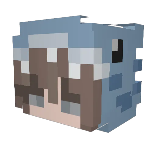 Skyyy_1 Minecraft avatar head, 3D render