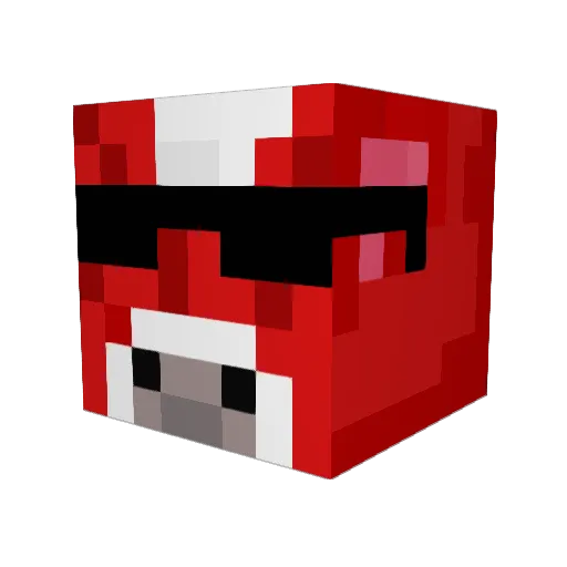 Skyzeeh Minecraft avatar head, 3D render