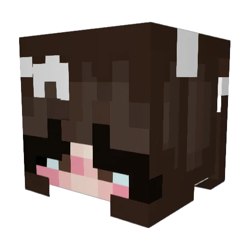 SkzXal Minecraft avatar head, 3D render