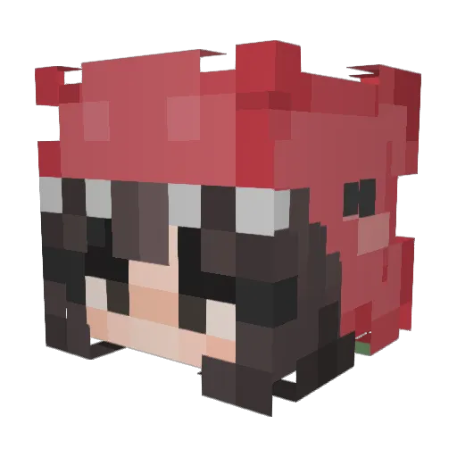Sl0th_Princess_ Minecraft avatar head, 3D render
