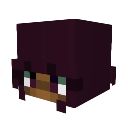 Sl0thbi Minecraft avatar head, 3D render