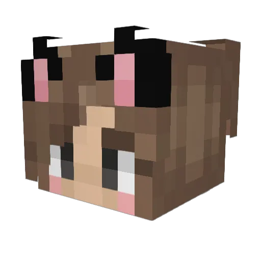 Sl33pingBeauty Minecraft avatar head, 3D render