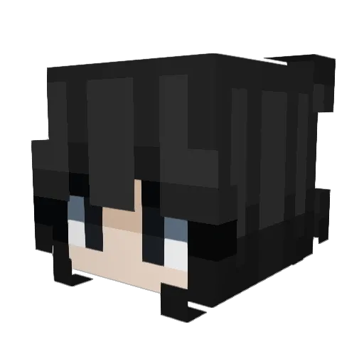 Sl4wster Minecraft avatar head, 3D render