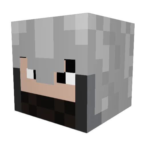 Sl4y3r91 Minecraft avatar head, 3D render