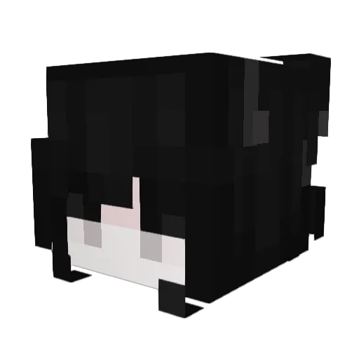Sl6anXd Minecraft avatar head, 3D render