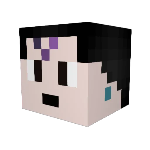 SlLVER925 Minecraft avatar head, 3D render