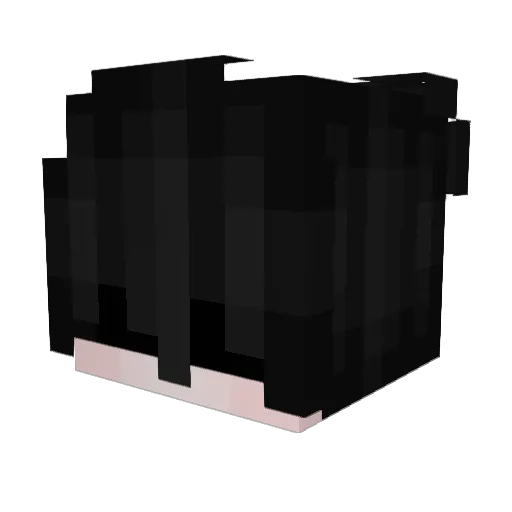 SlaGGeRFeeD Minecraft avatar head, 3D render