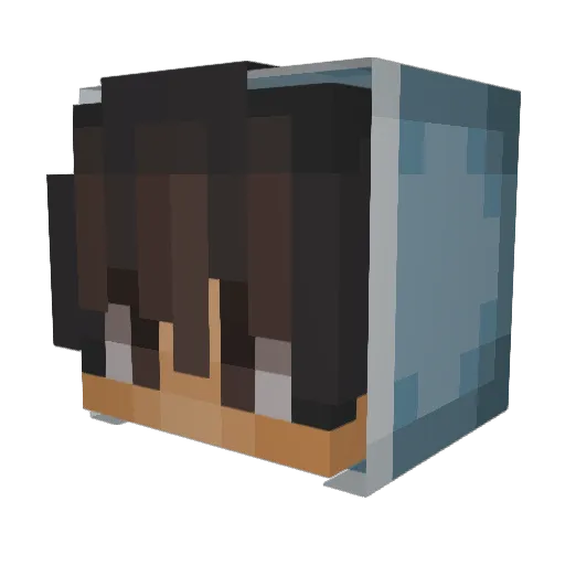SlaYerxD_ Minecraft avatar head, 3D render