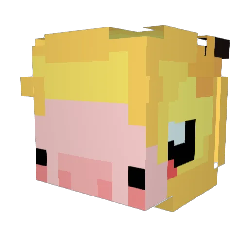Slaakis Minecraft avatar head, 3D render