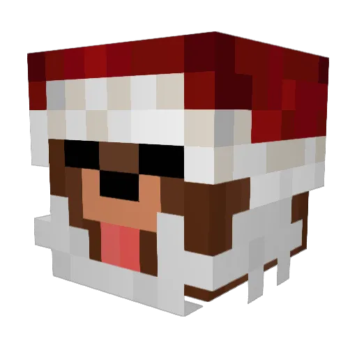 SlagterA Minecraft avatar head, 3D render