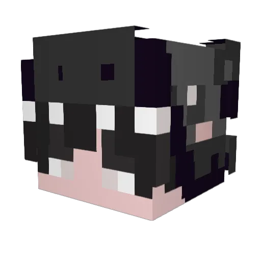 Slajwa Minecraft avatar head, 3D render