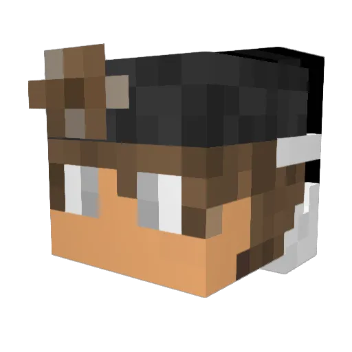 Slambert3112 Minecraft avatar head, 3D render