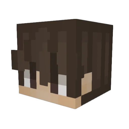 Slamson4528 Minecraft avatar head, 3D render