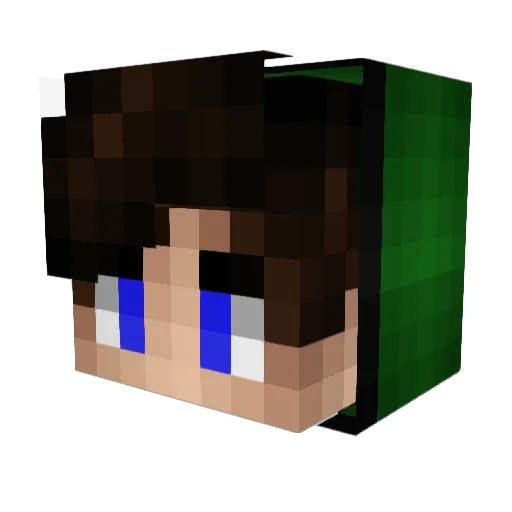 SlaneDRV Minecraft avatar head, 3D render