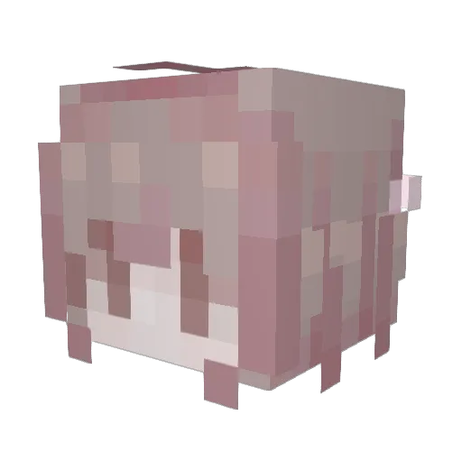 SlaneXSai Minecraft avatar head, 3D render