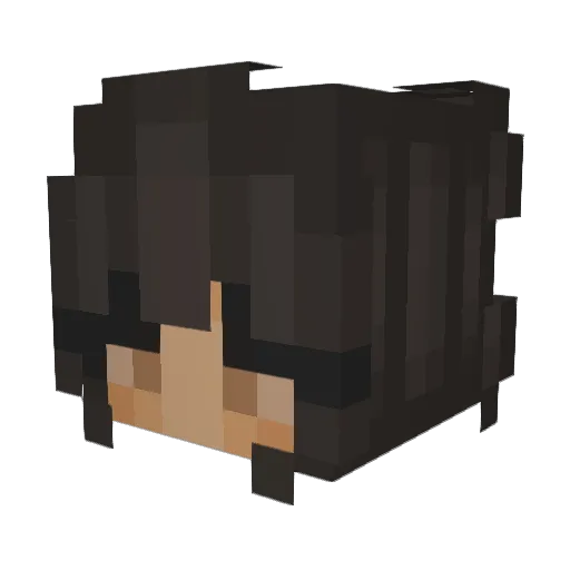 SlaniKikiriki Minecraft avatar head, 3D render