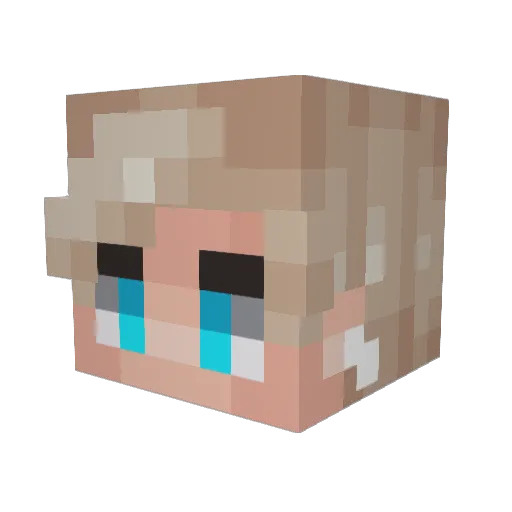SlapCh0op Minecraft avatar head, 3D render