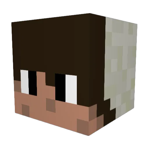 SlappePatat Minecraft avatar head, 3D render