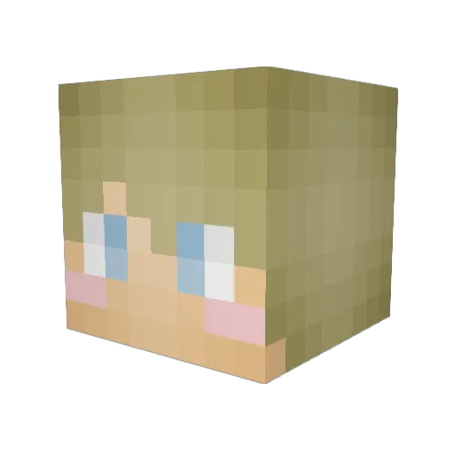 Slappy_Cat Minecraft avatar head, 3D render