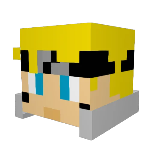 Slapyournet Minecraft avatar head, 3D render