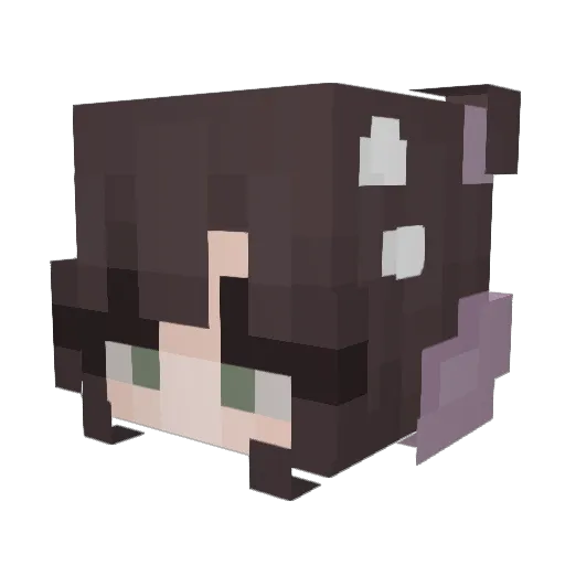 Slarna Minecraft avatar head, 3D render