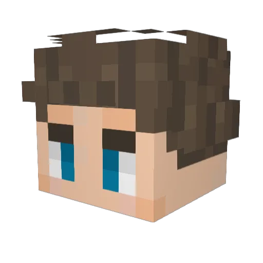 SlashBan316 Minecraft avatar head, 3D render