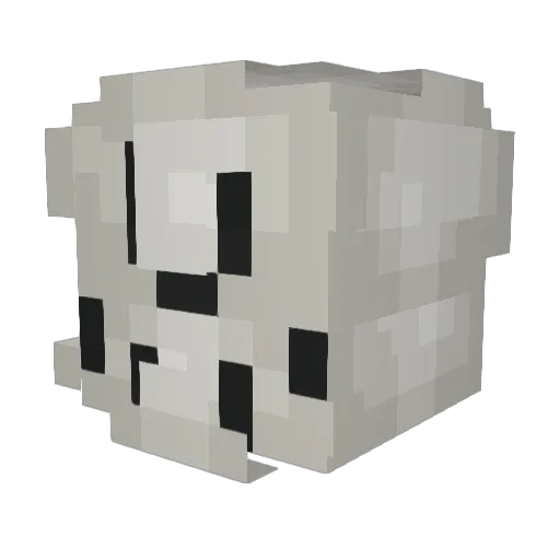 Slash_wiz Minecraft avatar head, 3D render