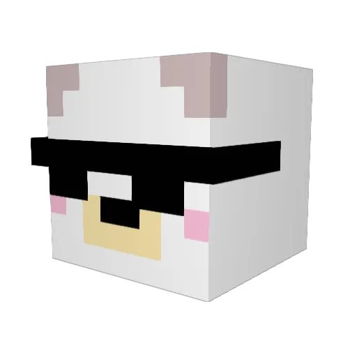 Minecraft-Avatar von SlasherRocks: Kopf als 3D-Render